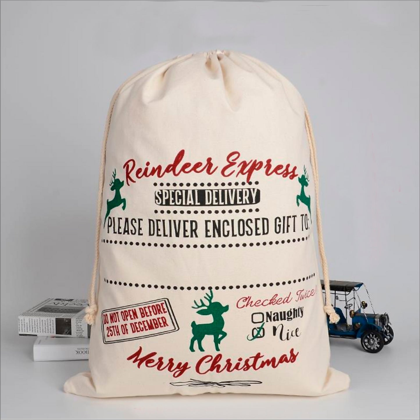 Reindeer Express Sack