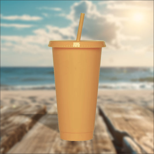 Pumpkin 24oz Cold Cups