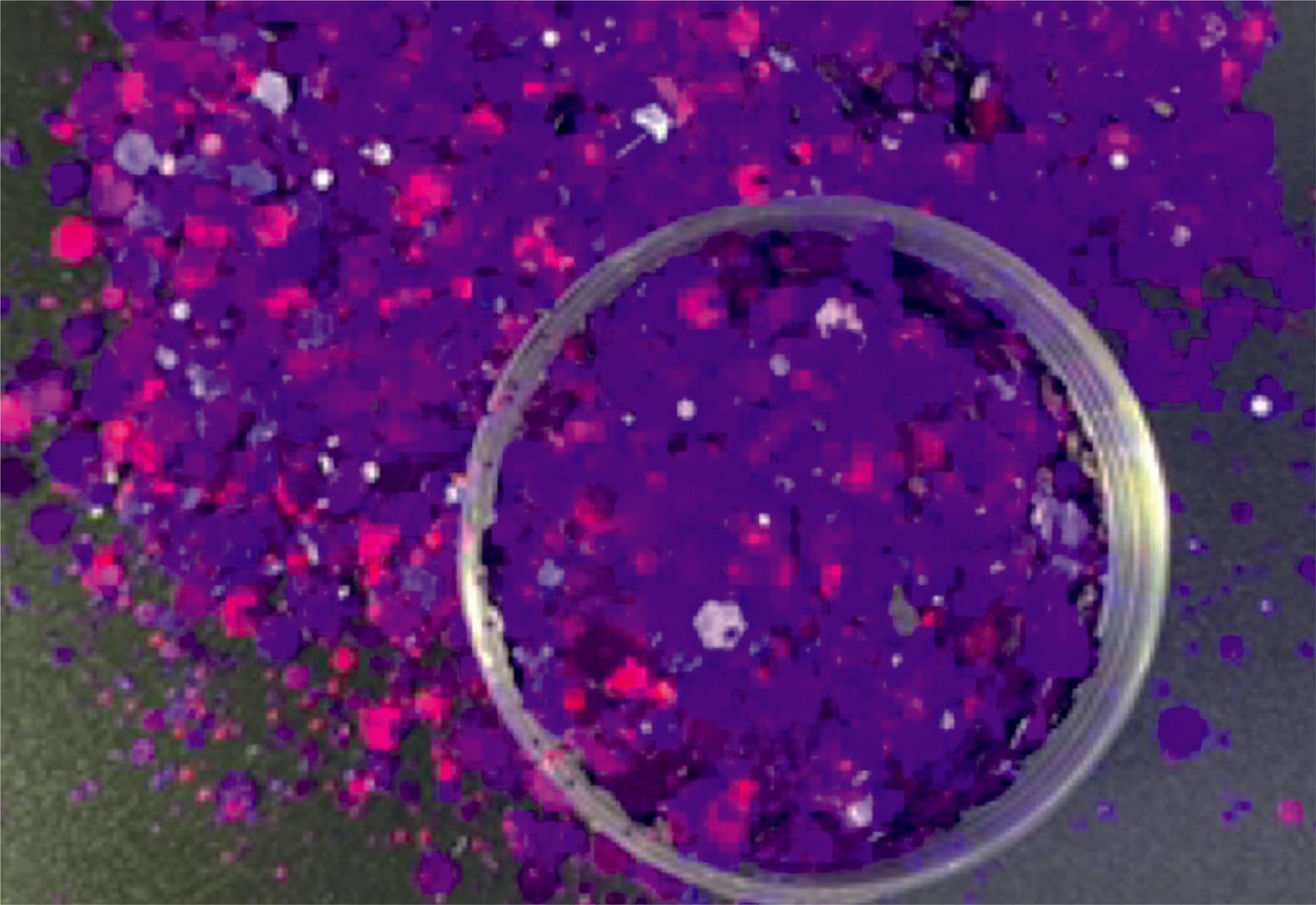 Sugar Plum - Colour Shift Chunky Glitter Mix image 0